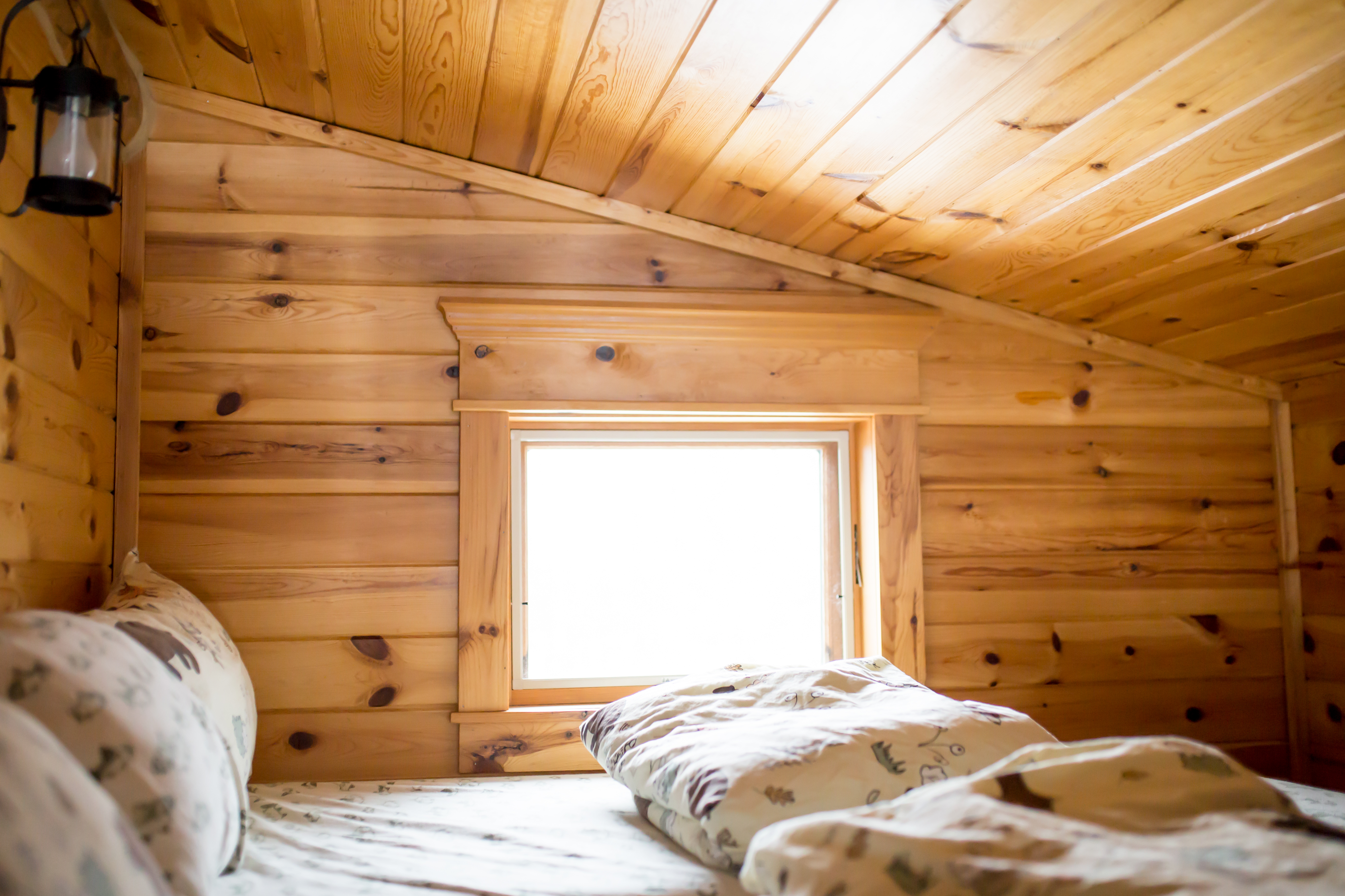 Lodge Layout – Lazy Days Lodge